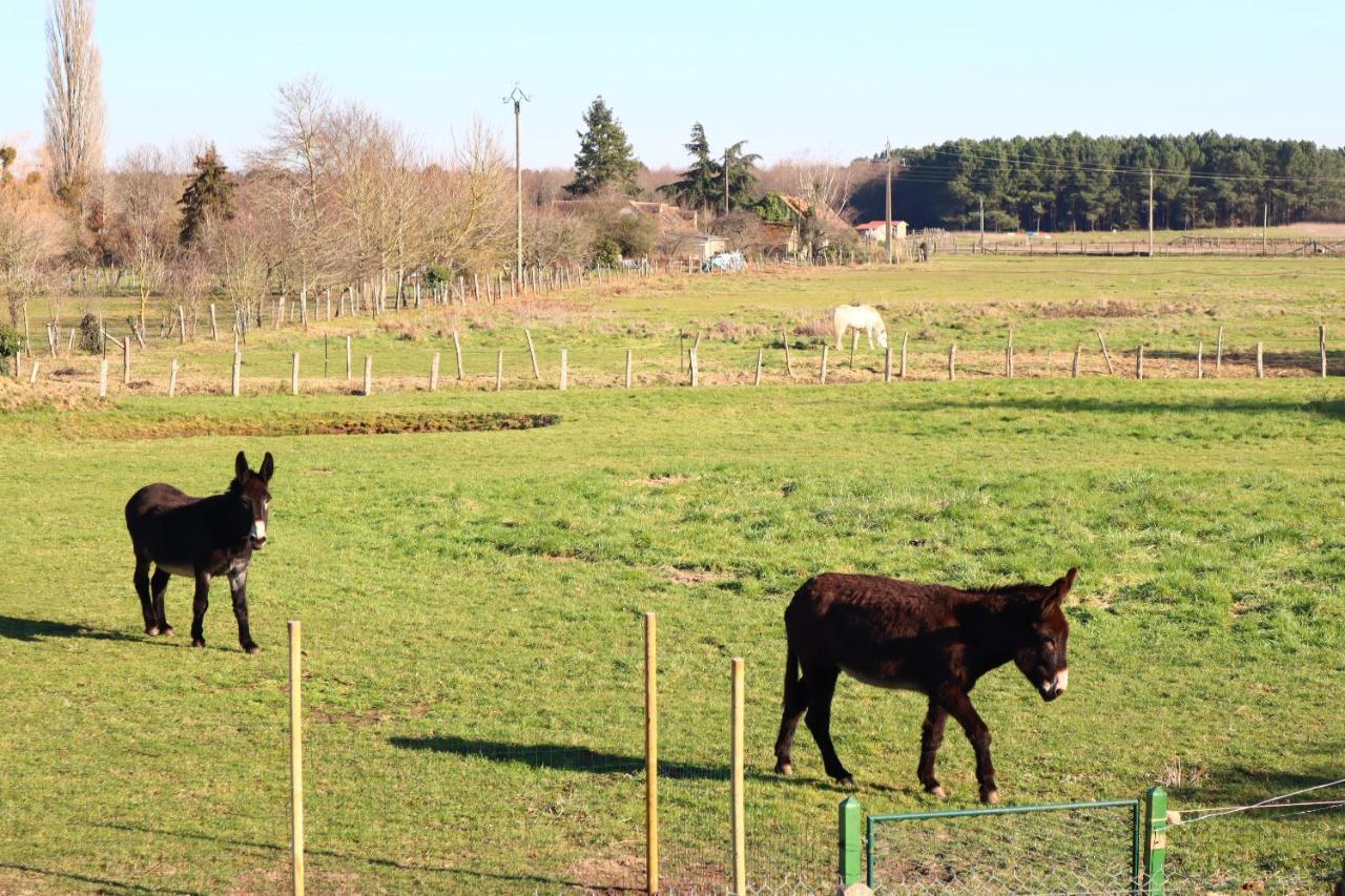 Chambre En Campagne A 15 Min Circuit ! Bed & Breakfast Change  Exterior photo